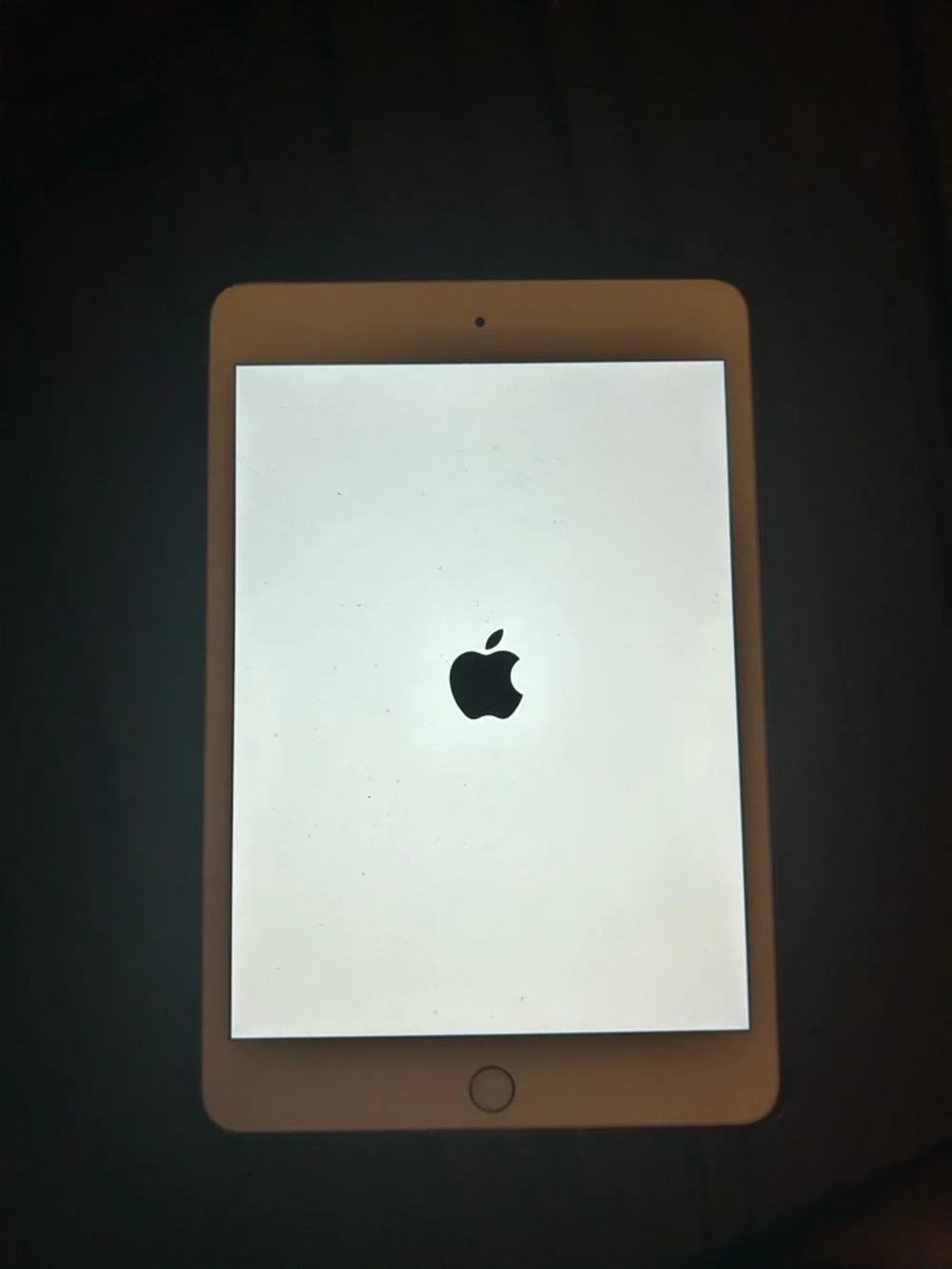 Apple iPad Mini - White Front with Black Logo